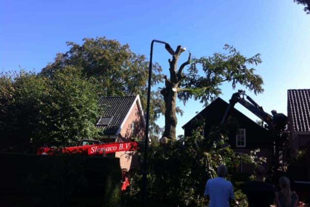 bomen kappen Helvoirt met een kraan